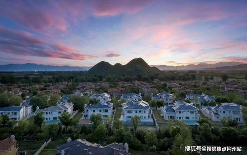 官方爆料新植物剪影视频,神秘新植物即将亮相！  第3张